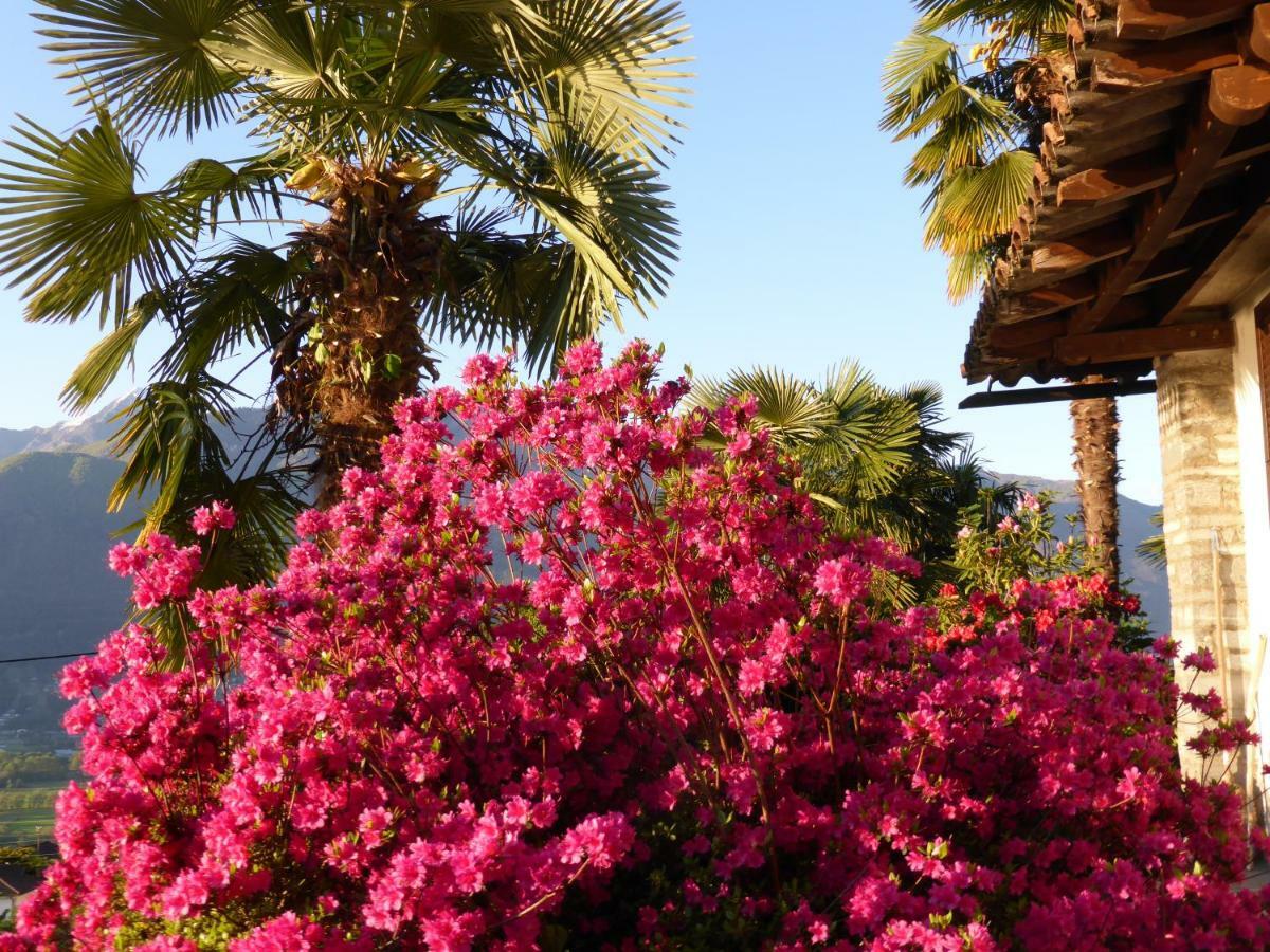 Casa Petra 1 1/2 Zi, Orgnana 83 *
