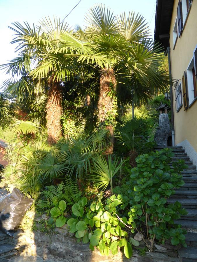 अपार्टमेंट Casa Petra 1 1/2 Zi, Orgnana 83 Gambarogno